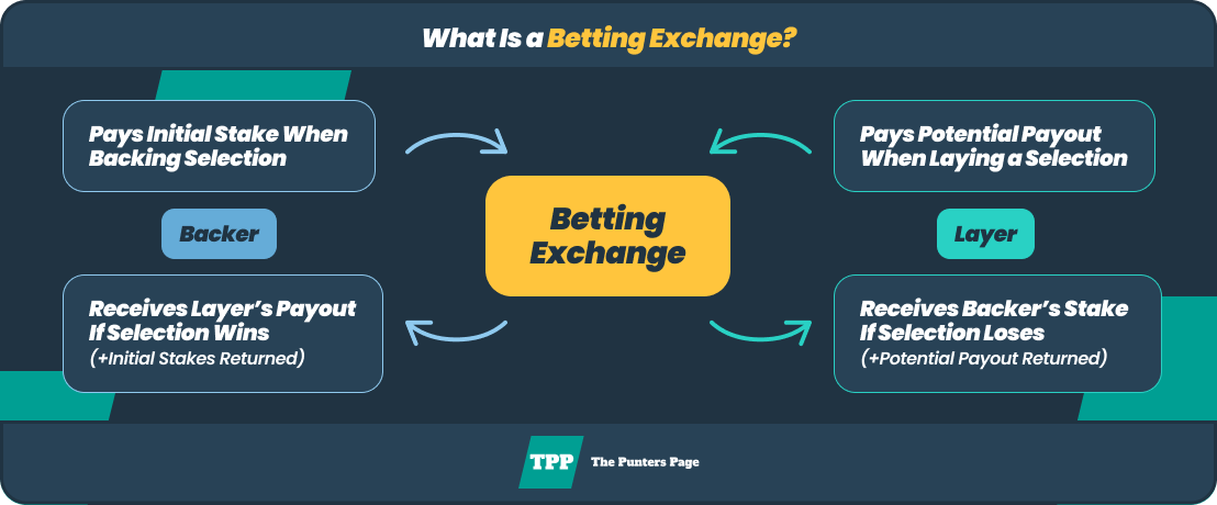 betting exchange infographic